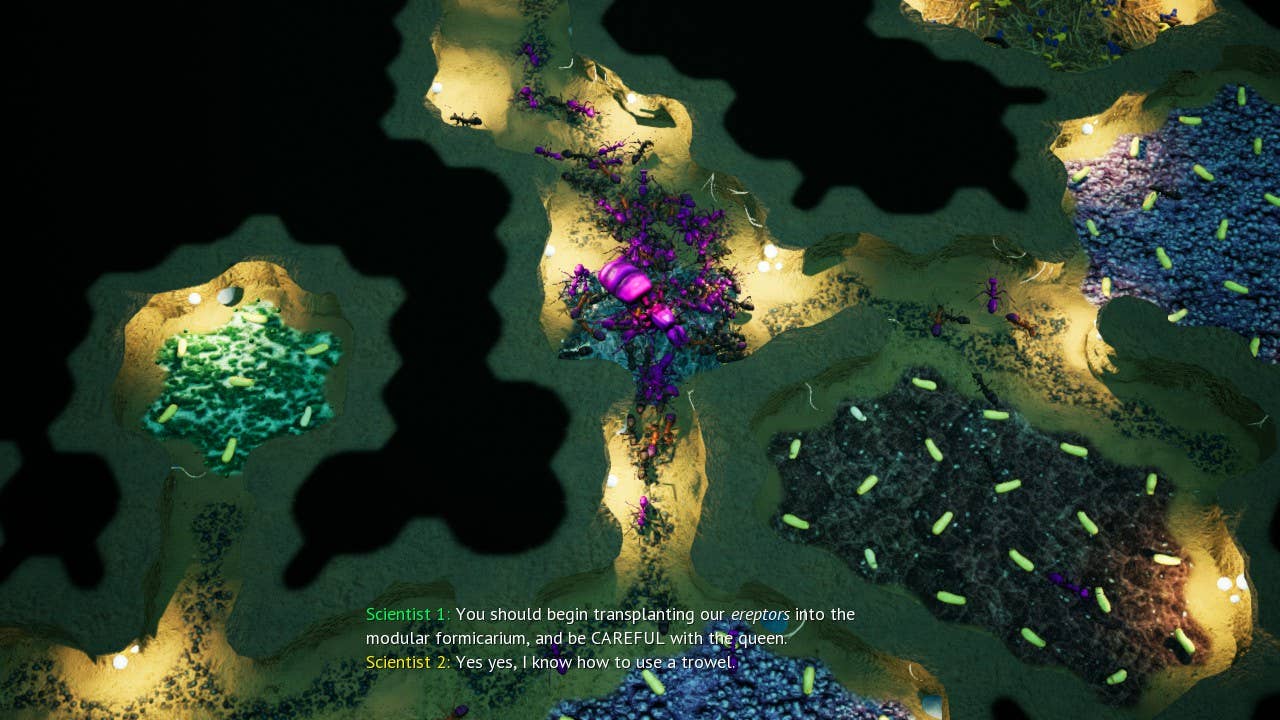 Colourful ants crawl through underground tunnels.